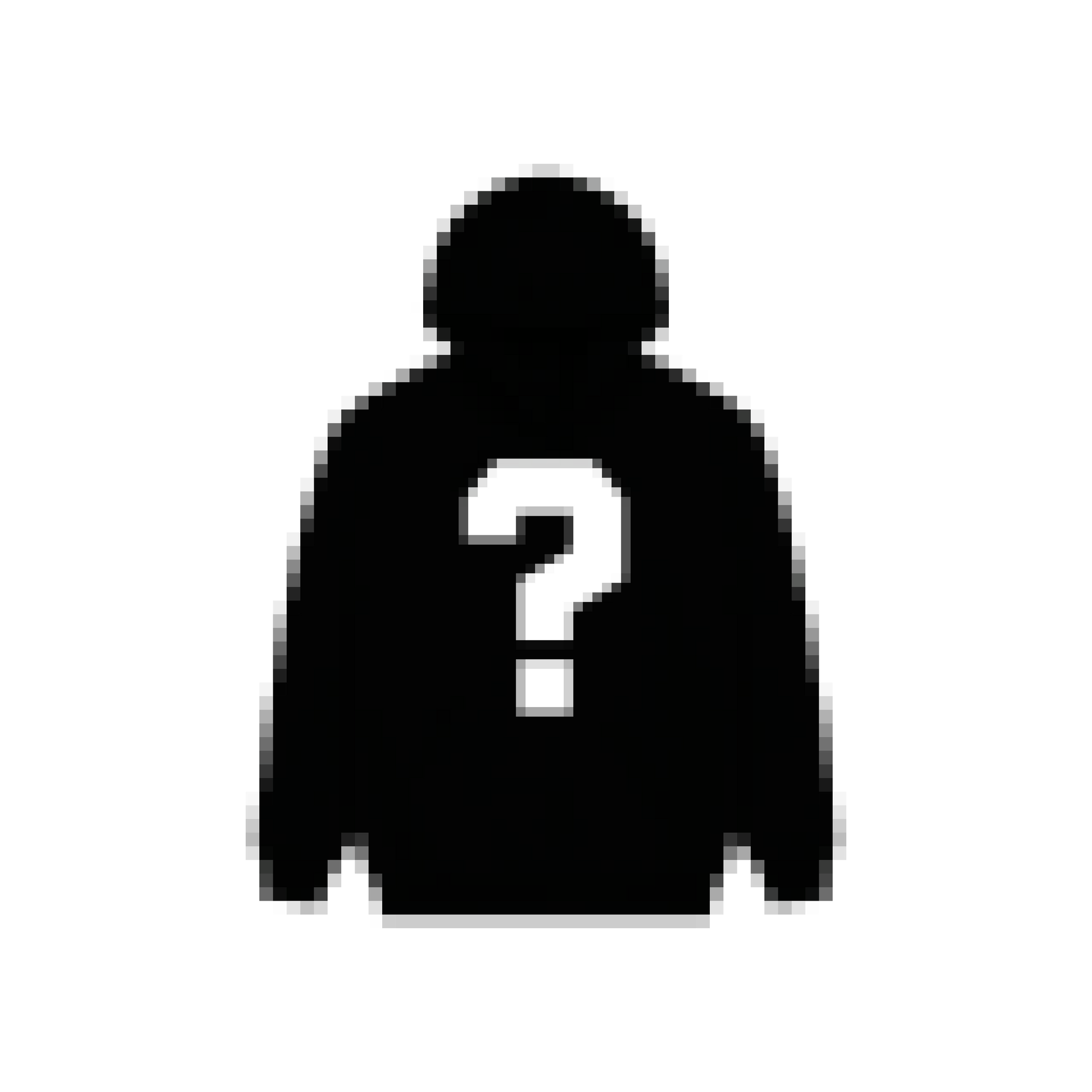 Mystery Hoodie
