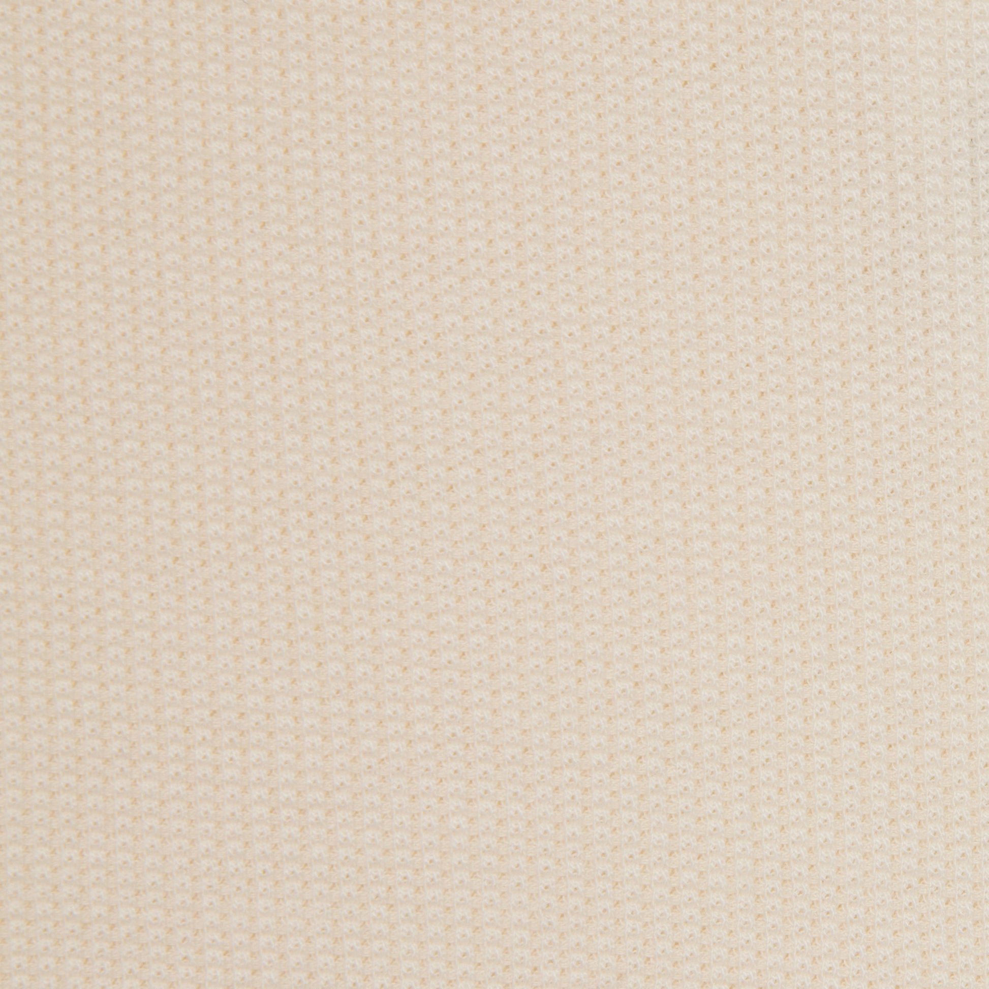 Waffle Thermal L/S Shirt [Off-white]